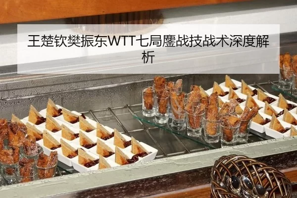 王楚钦樊振东WTT七局鏖战技战术深度解析